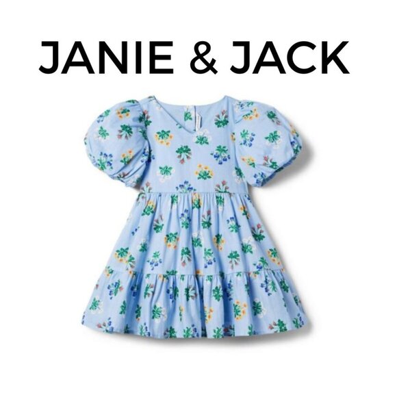 Baby Floral Dress Cotton Janie & Jack blue puff sleeve dress 6-12 mos - Picture 1 of 7